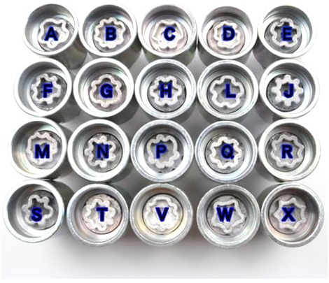 CXVFY 1 x Auto-Reifen-Anti-Diebstahl-Schraubenentfernungswerkzeug, Steckschlüssel, Demontagewerkzeug, Schlüsselhülse, kompatibles Reparatur-Set (P)