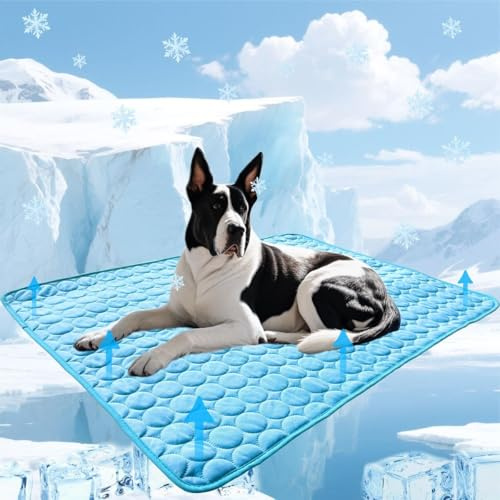 Generisch Kühlmatte Hund, Selbst Kühlende Hundematte Sommer, hundematte für Zuhause Unterwegs oder im Auto (Blau, L)
