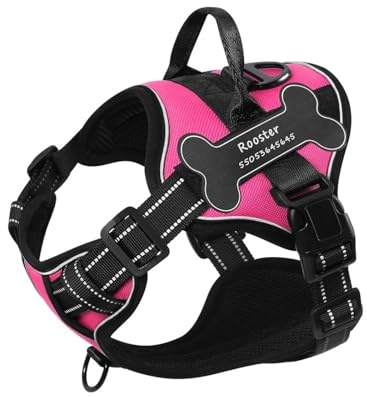 Personalisiertes Hundegeschirr Mit Niedlichen Individuellen Aufnähern, Atmungsaktives Nylon-Haustiergeschirr Für Labrador, Schnauzer, Chihuahua, Möpse,Rosenrot,Xs