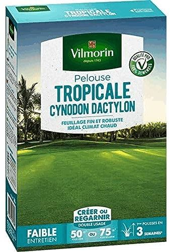 Vilmorin 4309012 Pelouse Tropicale Cynodon Dactylon, Vert, 500 g