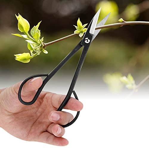 Cocoarm Strumento di Taglio delle Cesoie per Forcini Bonsai Professionisti con Lame in Acciaio di Alto Grado e Maniglia Ergonomica per i Fiori delle Piante da Giardino
