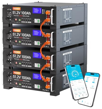 Batería LiFePO4 400 Ah 48 V 400 Ah Bluetooth 100 A BMS RS485/CAN Capacidad RS485/CAN 20,48 kWh, Ideal para almacenar energía Solar independientemente de la Red