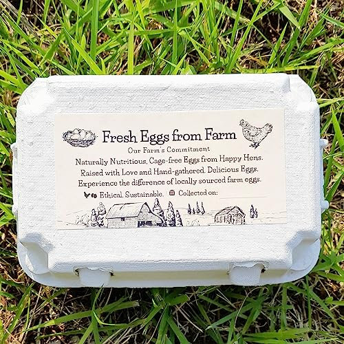 Havongki 100 Sheets Egg Carton Labels 4 x 2 Stickers Decal Farm Fresh Eggs Chicken coop Supplies Blank Cartons 6 12 15 18 30 48 50 Count Basket Box Container (T00417-100)