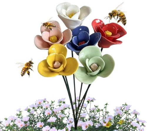 Abreuvoir à Abeilles Bain pour Oiseaux et Abreuvoir hydratant à colibris