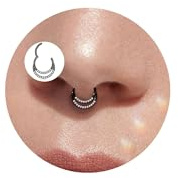 Lantine Piercing per setto setto da 16 g, doppio zircone, anello per setto nasale, oro, argento, nero, oro rosa, anello per naso, in acciaio chirurgico, daith conch helix, trago, segmento, anello per