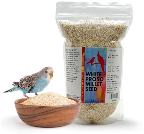 Morning Bird White Proso Millet 1.5 lbs – Unhulled Natural Bird Seed – Supports Feather Growth & Balanced Nutrition – High Energy Delicious Seed - Ideal for Finches, Parakeets & Pet Birds