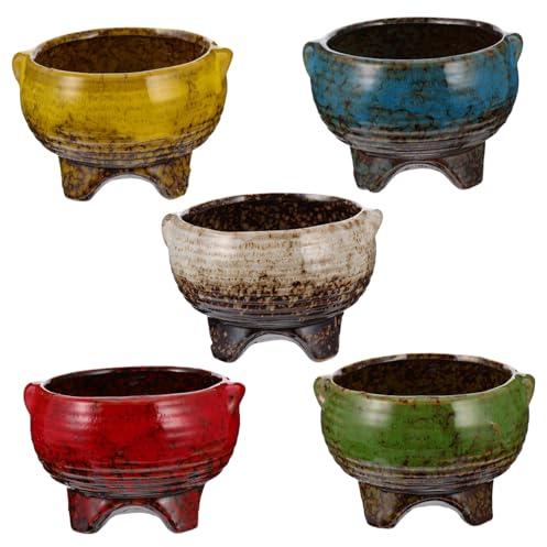 Abaodam 5piezas Maceta De para Suculentas Maceta Creativa Forma De Olla Caliente Contenedor De Flores para De