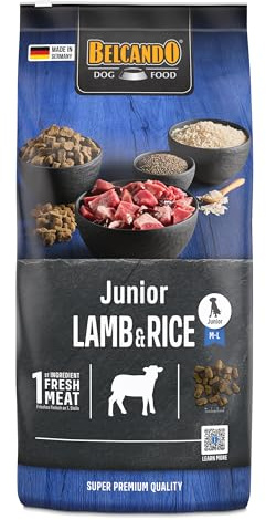 Belcando Junior Lamb & Rice [12,5 kg] Hundefutter | Trockenfutter für Junghunde | Alleinfuttermittel für Junghunde ab 4 Monaten