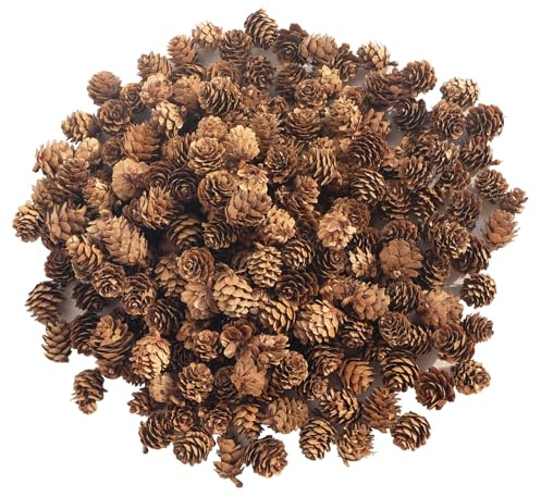 Lot de 200 mini pommes de pin naturelles pour décorations d'automne, décorations d'automne en vrac, petites pommes de pin pour loisirs créatifs, Thanksgiving, automne, hiver, Noël, mariage, décoration