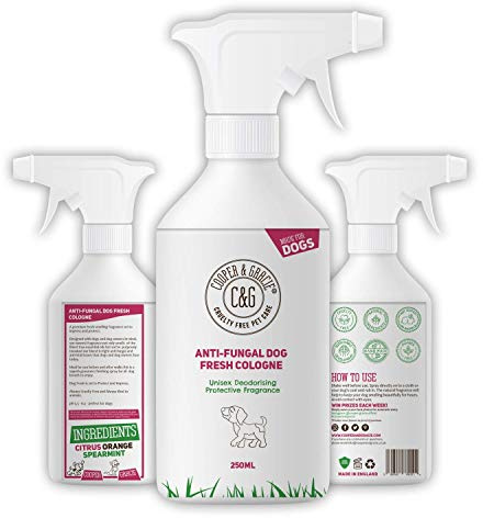 C&G Pets | Anti Fungal Dog Fresh Perfume Spray | Lasting Dogs Deodorising Grooming Cologne | Anti Fungal Spearmint Orange Chamomile Essential Oils | Unpleasant Smells Eliminator Perfume