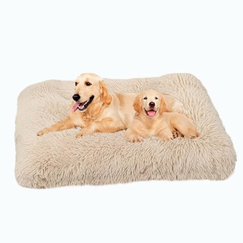DOKLY Haustierbett Superweich,XXL, Kissen für Hunde, XL, Sofa, groß, mittel,Anti-Stress, Hundebett, flauschig, maschinenwaschbar,Beige-122x83cm