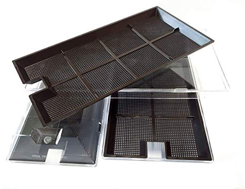 Samenshop24® Bio-Keimsprossen-Anzucht-Set (das Original) | Inhalt: 3 Keimschalen + 3 Gitter