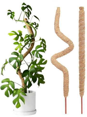 1/2 bastoncini di muschio per piante – bastone di muschio da giardino, muschio di fibra di cocco palma rampicante bastone per piante rampicanti bastone di muschio per piante rampicanti, bastone di