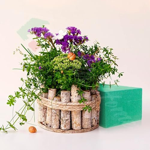 Tata Home Set 6 Pezzi Spugna per Fiori Piante Schiuma Fiori Freschi Finti Secchi Assorbente Composizioni Floreali Cerimonia Fioristi Misura 23x10x7 cm