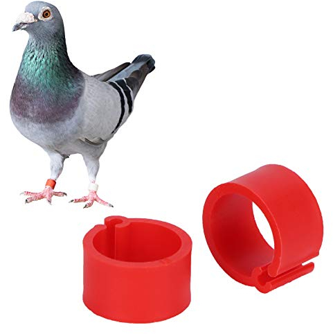 Gavigain 200 Stück Wachtelbeinbänder, Kunststoff, Geflügel, Hühner, Enten, Gänsebeinbänder, Vogelanhänger, Beinbänder, Clip für Wachteln, Tauben, Turteltauben, Finken und kleines Geflügel (10mm)