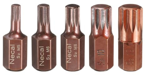 QUARKZMAN 5 Piezas De Brocas De Destornillador Torx M5/M6/M8/M10/M12 Vástago Hexagonal De 10mm Longitud De 30mm Acero S2 Seguridad Cabeza De 12 Puntas Brocas De Destornillador Hexagonal