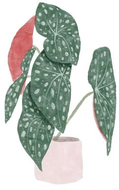 ArtDirect Polka Dot Begonia I Unframed Art Print Giclee Poster by Bannarot - Ready for Framing with Customization Sizes 8x8, 11x11, 16x16, 24x24, 36x36, and 48x48 Inches