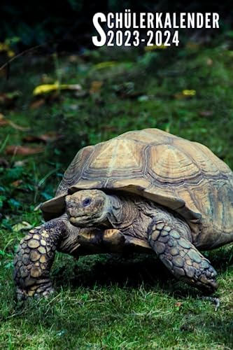 Schülerkalender 2023 2024: Schildkröten - Schulplaner und Wochenplaner Mit Raum Für Notizen, Mein Programm Und Mehr | August 2023 Bis Juli 2024