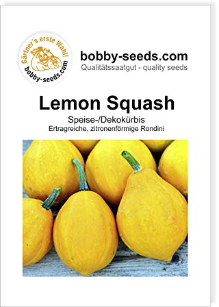 Lemon Squash Kürbissamen von Bobby-Seeds, Portion