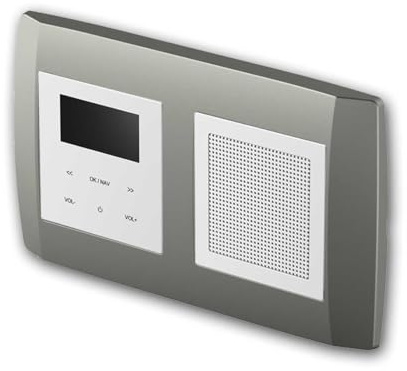 Radio encastrée LOGIQ avec Haut-Parleur 2W RMS, Dab+, FM et Bluetooth, écran OLED, Alarme et Sleep Timer, livrée avec Cadre 2 Voies Bold, Titane