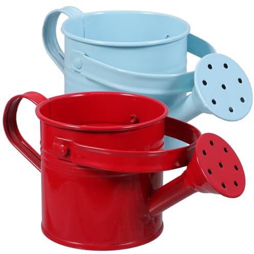 BESPORTBLE 2piezas Regadera De Hierro Duradero Portátil para Plantas y Flores Regadera Casera Boca para Plantas
