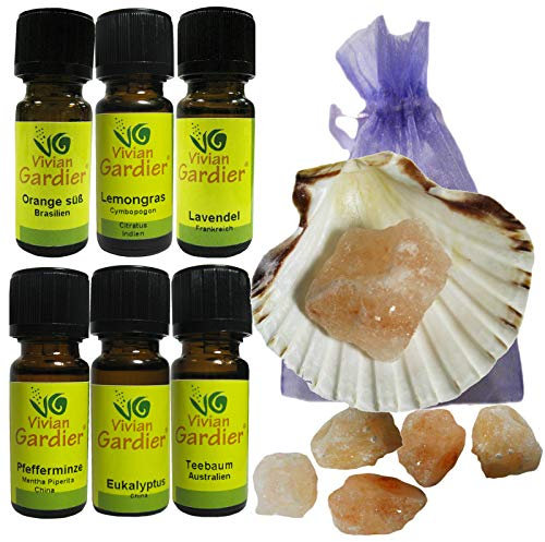 Aromatherapie 14-tlg SET ätherische Öle 6 x 10ml EUKALYPTUS LAVENDEL ORANGE PFEFFERMINZE TEEBAUM LEMONGRAS. 6 x Solekristalle. Muschel. Täschchen [100% naturrein von VIVIAN GARDIER] 50026