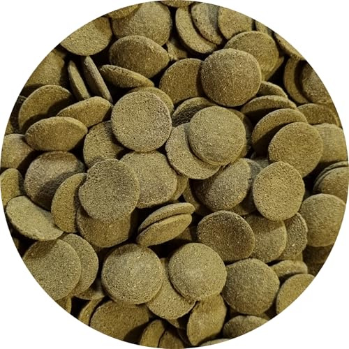 Futtertabletten Wels Chips Gross Welse Fischfutter Spirulina 1 kg | Welstabletten
