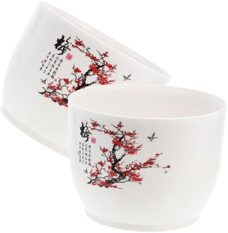 SUPVOX Vaso Idroponico Per Narcisi 2 Pezzi Ciotola Per Fioriera Da Giardino Ciotola Decorativa Per Piantare in Casa