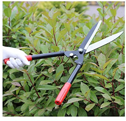Cisailles à Haies Outils de Jardinage Lames de Jardin Poignées en Aluminium Robustes Tondeuses manuelles pour Tailler Les Bordures Topiaires Buis Graminées décoratives