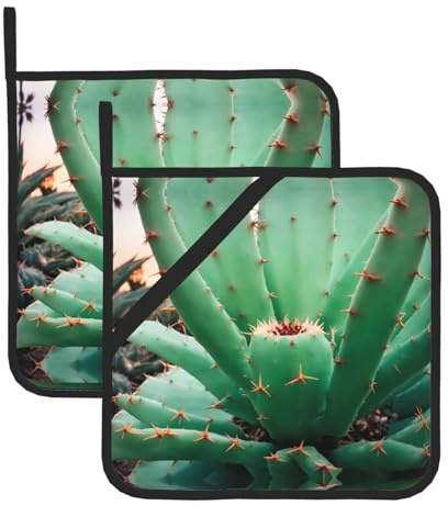 Agave Cactus Picture Square Heat-Proof Pot Holders (Set of Two) 8x8 in : Quality Fabrics, Anti-Scalding and Easy to Clean
