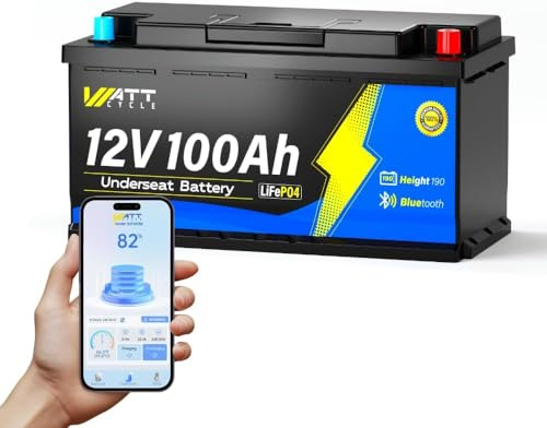 WattCycle Batterie au lithium LiFePO4 12 V 100 Ah H190 avec Bluetooth Smart 100 A BMS, protection contre les basses températures, max. 15 000 cycles, 20,48 kWh, 188 mm de hauteur d'encastrement sous