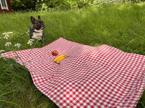 NAWA Home & Work - Mantel para Picnic Familiar | Ideal para Camping y Playa | Compacto y Lavable a Máquina | Diseño Americano Rojo-Blanco | Medidas 150 x 130 cm, Poliester