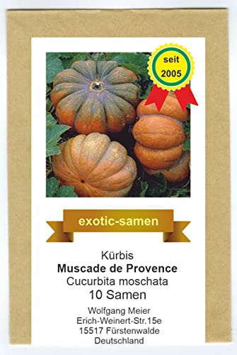 Muskatkürbis - Speisekürbis - Muscade de Provende - 5-10 kg - alte, samenfeste Sorte - 10 Samen