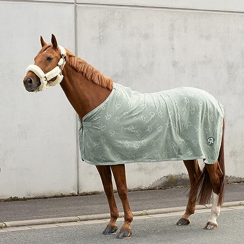 SUNRIDE Abschwitzdecke “Wellington” für Pferde aus weichem Fleece (280g/m²) - schnelltrocknend und leicht (135 cm, Olive)
