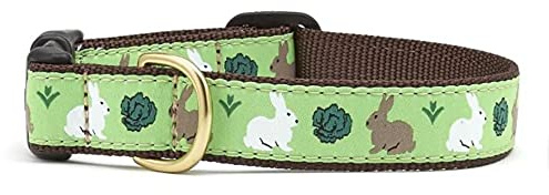 Up Country Garden Rabbit Pattern (Garden Rabbit Dog Collar, Medium (12 to 18 Inches) 1 Inch Wide Width)
