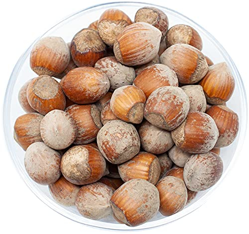 Leimüller Haselnüsse mit Schale 1 kg | Artgerechtes Eichhörnchenfutter aus Österreich | Lieblingsfutter von Eichhörnchen | Natürliches Hörnchen-Ganzjahresfutter mit wertvollen Nährstoffen