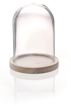 GRAINE CREATIVE Glasglocke mit Sockel aus Holz, 16 cm