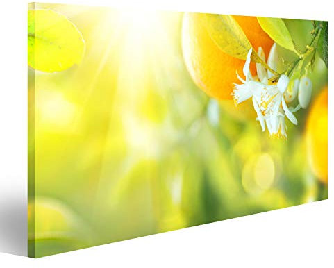 Bild Bilder auf Leinwand Blühender Orangen- oder Zitronenbaum. Gesunder Bio-Zitronen- oder Orangenanbau im sonnigen Obstgarten Wandbild, Poster, Leinwandbild QRN