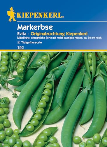 Kiepenkerl Markerbsensamen Evita 192 – Mittelfrühe, ertragreiche Sorte mit meist paarigen Hülsen, ca. 80 cm hoch - Gemüsesamen, Samen Gemüse, Saatgut