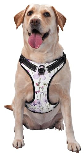 Rhododendron Illustration Pattern Large Printed pet Traction Vest for Pets to wear When Walking The Dog or Climbing Mountains