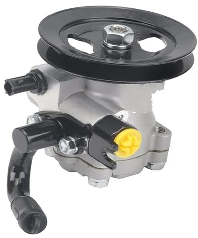 Pompa servo idraulica Per Hyundai Per Accent Per Kia Per Rio Rio5 2006-2011 57100-1G000 571001G000 57100 1G000 Pompa Servosterzo