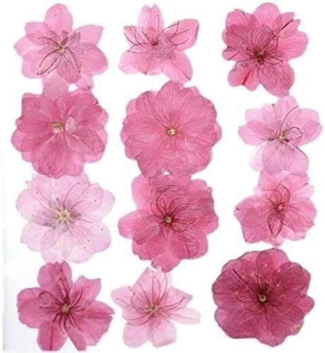 Natürliche Getrocknete Blumen Pflanzen DIY Schmuck Handwerk Home Decorations,50 stücke Gemischte Gepresste Getrocknete Blume Natürliche Kirschblüten Herbarium Epoxidharz Make-up Gesicht Nail Art Craft