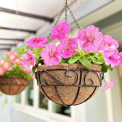 LaLaGreen Hanging Planter for Outdoor Plants (12 Inch, 2 Pack) Hanging Baskets with Coco Liner, Black Metal Wire Flower Basket Pots with Hook Hanger Balcony Porch Farmhouse Country Style Garden Decor