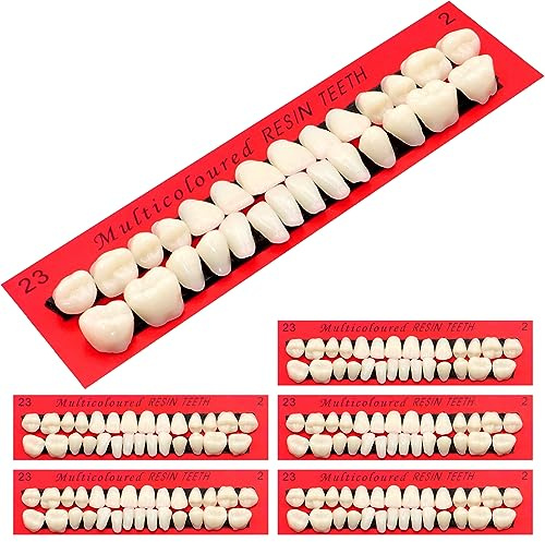Scettar 6 Pieces Acrylic Resin Fake Teeth, False Tooth Dental Denture False Teeth Synthetic Polymer Resin Denture Teeth for Halloween Makeup Teach Practice DIY Cosplay Costume Party Ornament Supplies