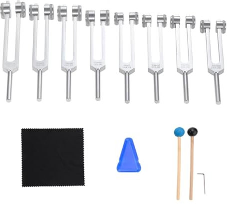 GIWFBQTR Chakra-Stimmgabel-Set, 7 Chakren + 1 Stimmgabel für die Seelenaufgabe, Gewichtete Stimmgabeln für, Yoga, Klangheilung, Silber