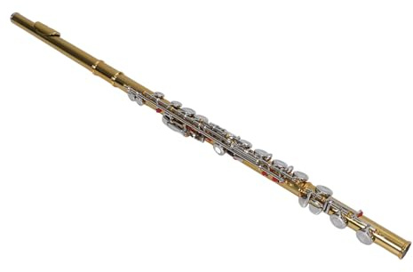 Geschlossenes Loch C Flöte 16 Schlüsselinstrument, Geschlossenes Loch C 16 Schlüsselflöte Instrument mit Tragetasche, Handschuhen und Stimmstab, Studentenflöte für Anfänger,