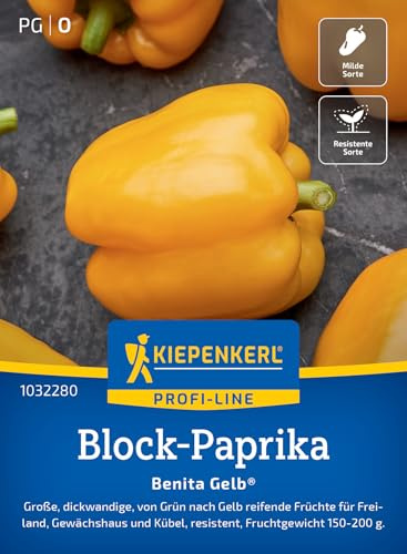 Kiepenkerl Block-Paprikasamen Benita Gelb® 1032280, Gemüsesaat | Große und dickwandige Früchte, Wuchshöhe 80-100 cm, für Hochbeet, Freiland & Gewächshaus