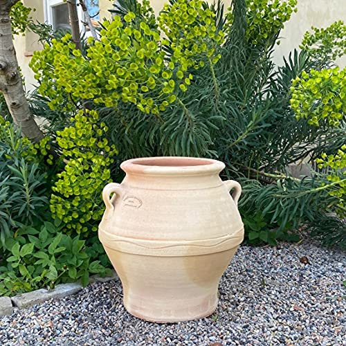 Palatina verkstad terracotta Amphore Cassia 35 cm – 100 % handgjord unik från Grekland – förtrolla din trädgård eller terrass i en grön oas