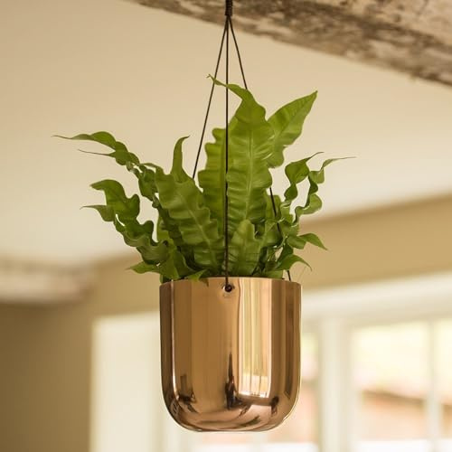 Crocus Collection 13cm Metal Hanging Basket Bowl Planter for Trailing Foliage Plants Polished Copper