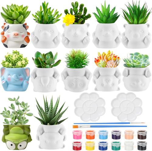 Chuangdi 12 Sets 12 Stil DIY Keramik Sukkulenten Pflanzgefäße Töpfe Bemalen Sie Ihre eigenen Töpfe Bastelset unlackierte Keramik Tier Blumentöpfe mit Drainageloch Farben Pinsel Paletten